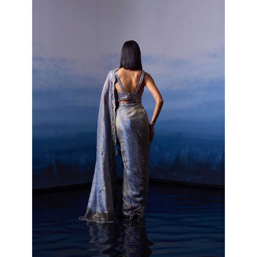 ANGAD SINGH Metallic Grey Tissue Saree with Stitched Blouse and Petticoat