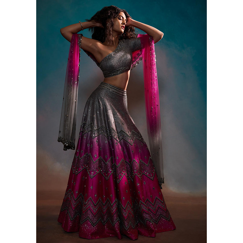 Anjali Kanwar Grey Embellished/Sequined Tara Lehenga with Blouse and Dupatta (Set of 3)