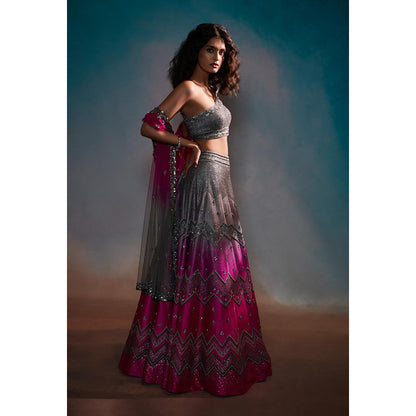 Anjali Kanwar Grey Embellished/Sequined Tara Lehenga with Blouse and Dupatta (Set of 3)