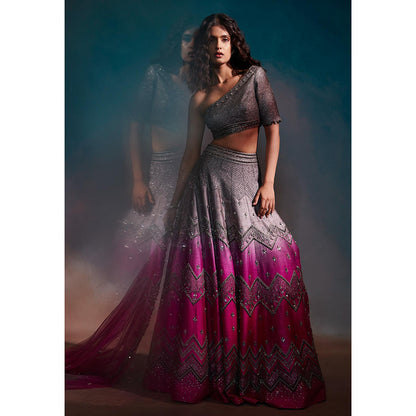 Anjali Kanwar Grey Embellished/Sequined Tara Lehenga with Blouse and Dupatta (Set of 3)