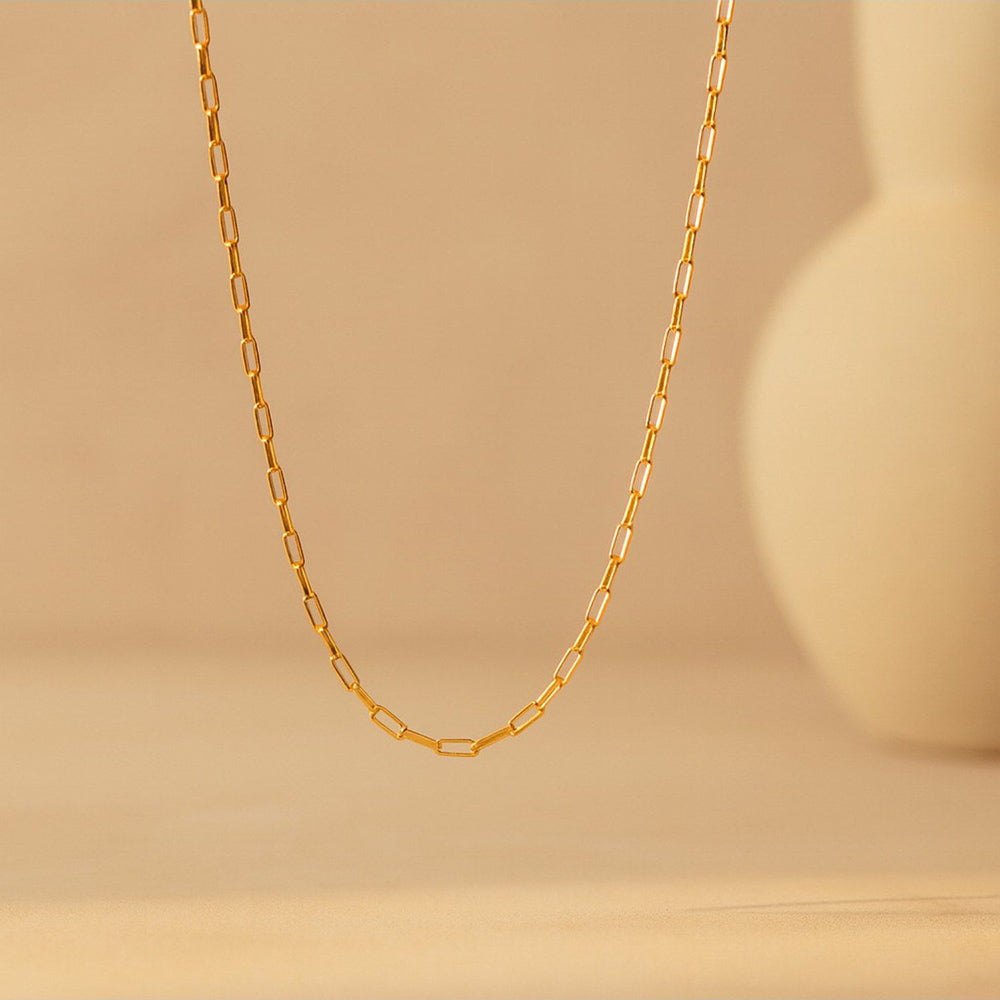 ANUSHKA JAIN JEWELLERY Bella Link Necklace