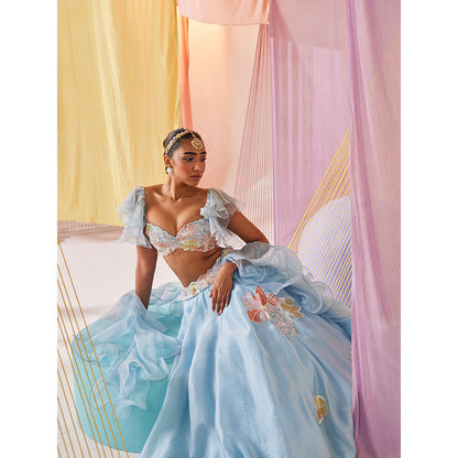 Anu Pellakuru Womens Blue Amaira Lehenga with Blouse and Dupatta (Set of 3)