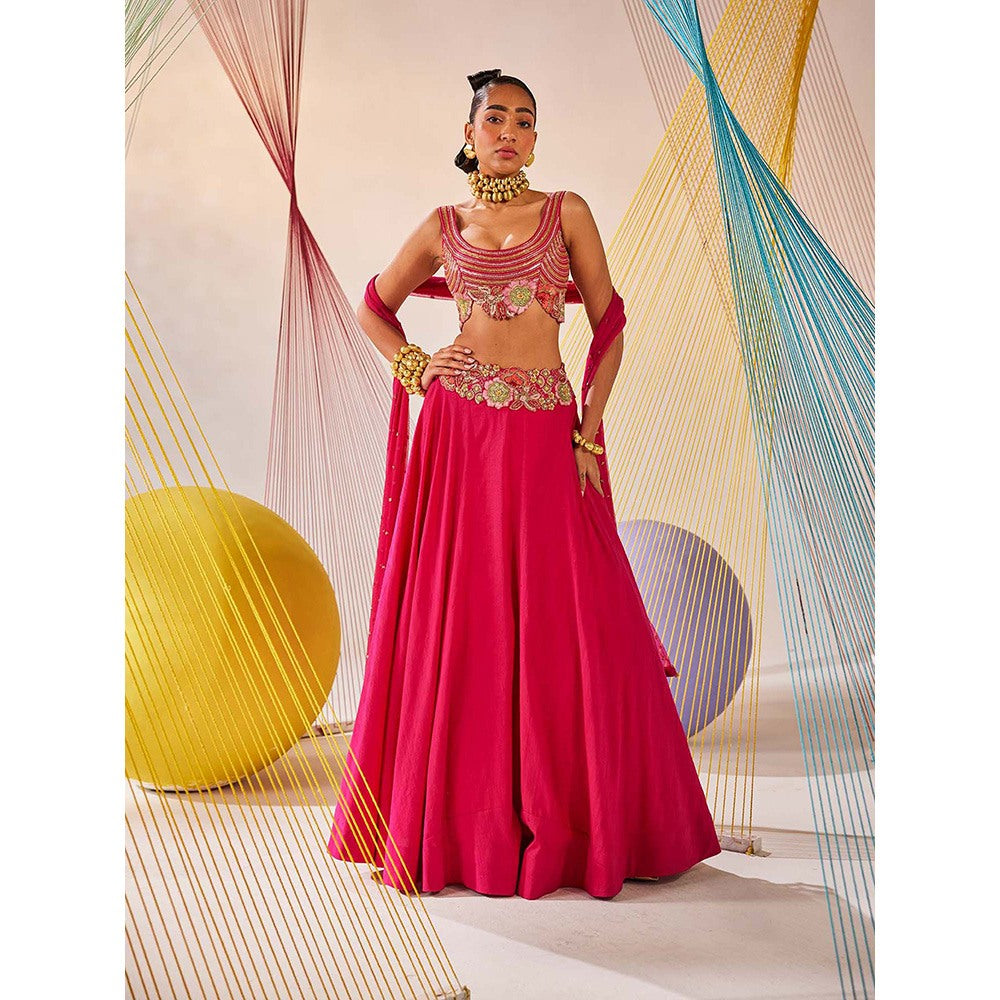 Anu Pellakuru Pink Ekisha Embroidered Lehenga with Blouse and Dupatta (Set of 3)