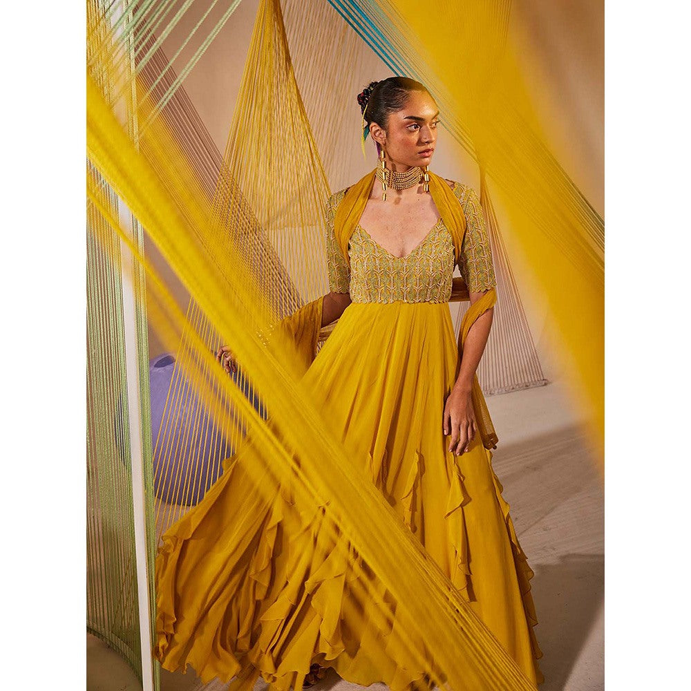 Anu Pellakuru Mustard Aina Embroidered Anarkali and Dupatta (Set of 2)