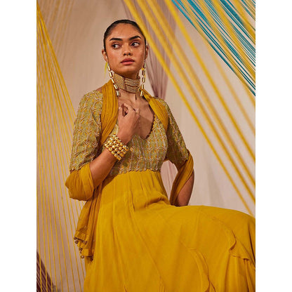 Anu Pellakuru Mustard Aina Embroidered Anarkali and Dupatta (Set of 2)