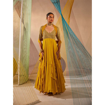 Anu Pellakuru Mustard Aina Embroidered Anarkali and Dupatta (Set of 2)