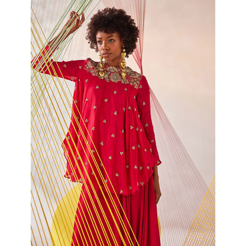 Anu Pellakuru Pink Anika Embroidered Top with Pant (Set of 2)