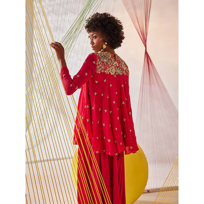 Anu Pellakuru Pink Anika Embroidered Top with Pant (Set of 2)