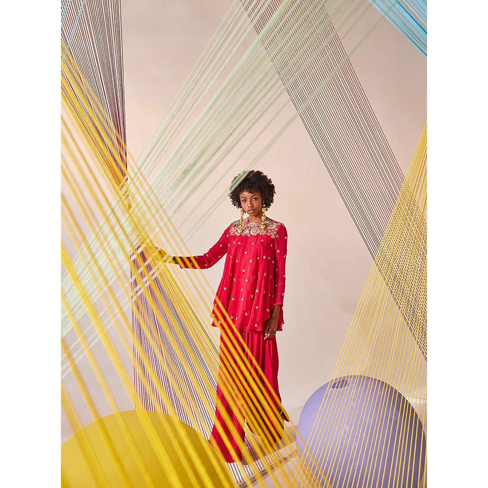 Anu Pellakuru Pink Anika Embroidered Top with Pant (Set of 2)