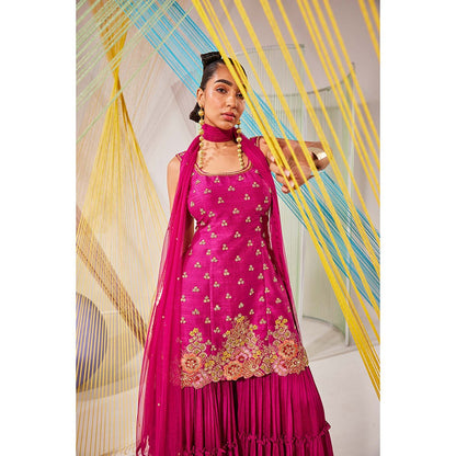 Anu Pellakuru Pink Tarangita Embroidered Kurta with Sharara and Dupatta (Set of 3)