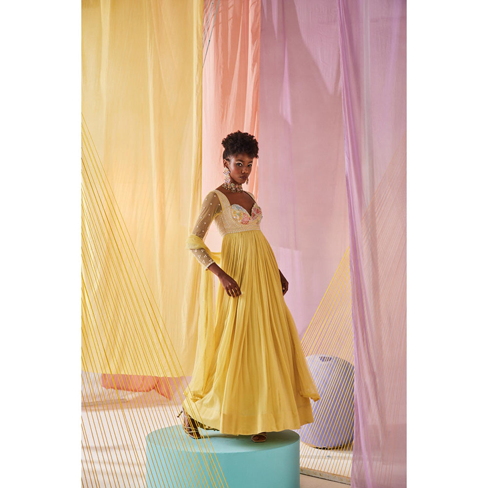 Anu Pellakuru Yellow Iris Embroidered Anarkali and Dupatta (Set of 2)