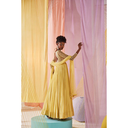 Anu Pellakuru Yellow Iris Embroidered Anarkali and Dupatta (Set of 2)