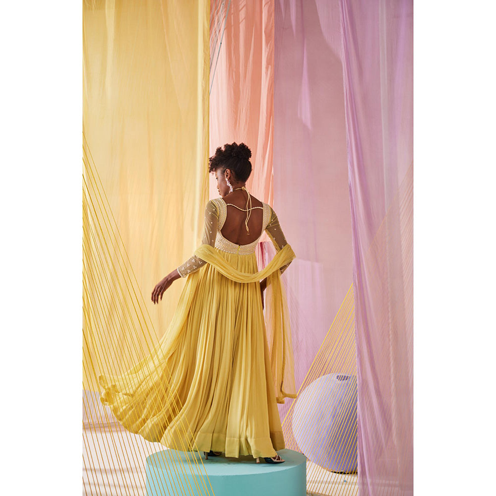 Anu Pellakuru Yellow Iris Embroidered Anarkali and Dupatta (Set of 2)