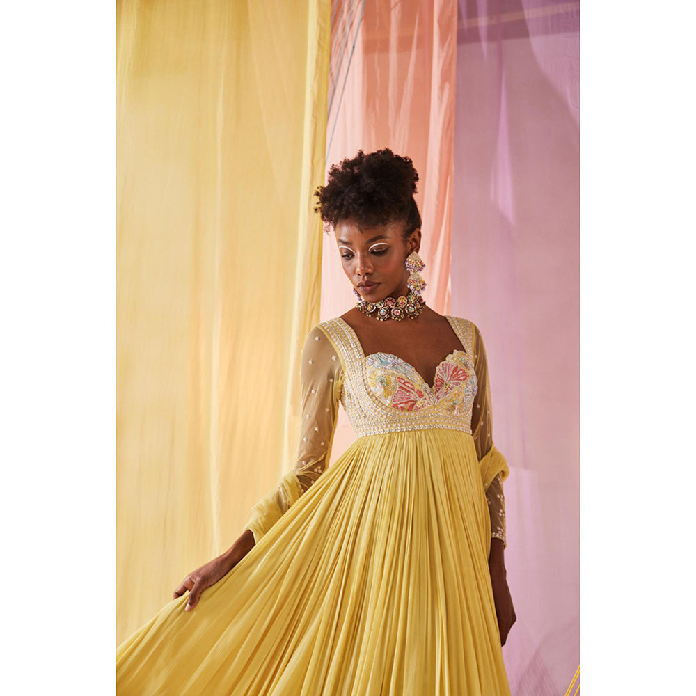 Anu Pellakuru Yellow Iris Embroidered Anarkali and Dupatta (Set of 2)