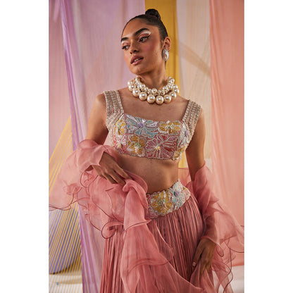 Anu Pellakuru Eesha Embroidered Lehenga with Blouse and Dupatta (Set of 3)