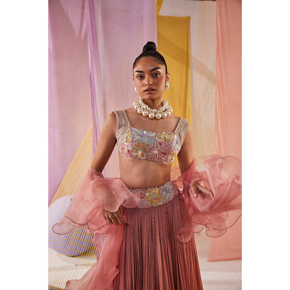 Anu Pellakuru Eesha Embroidered Lehenga with Blouse and Dupatta (Set of 3)