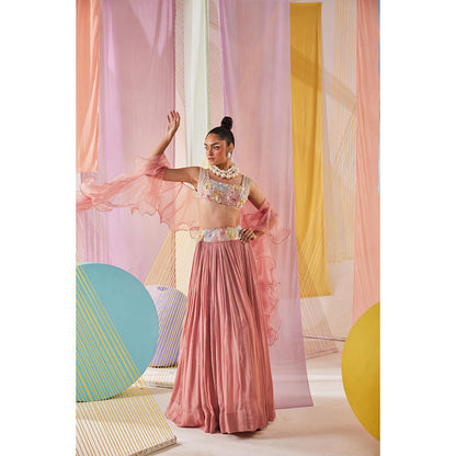 Anu Pellakuru Eesha Embroidered Lehenga with Blouse and Dupatta (Set of 3)