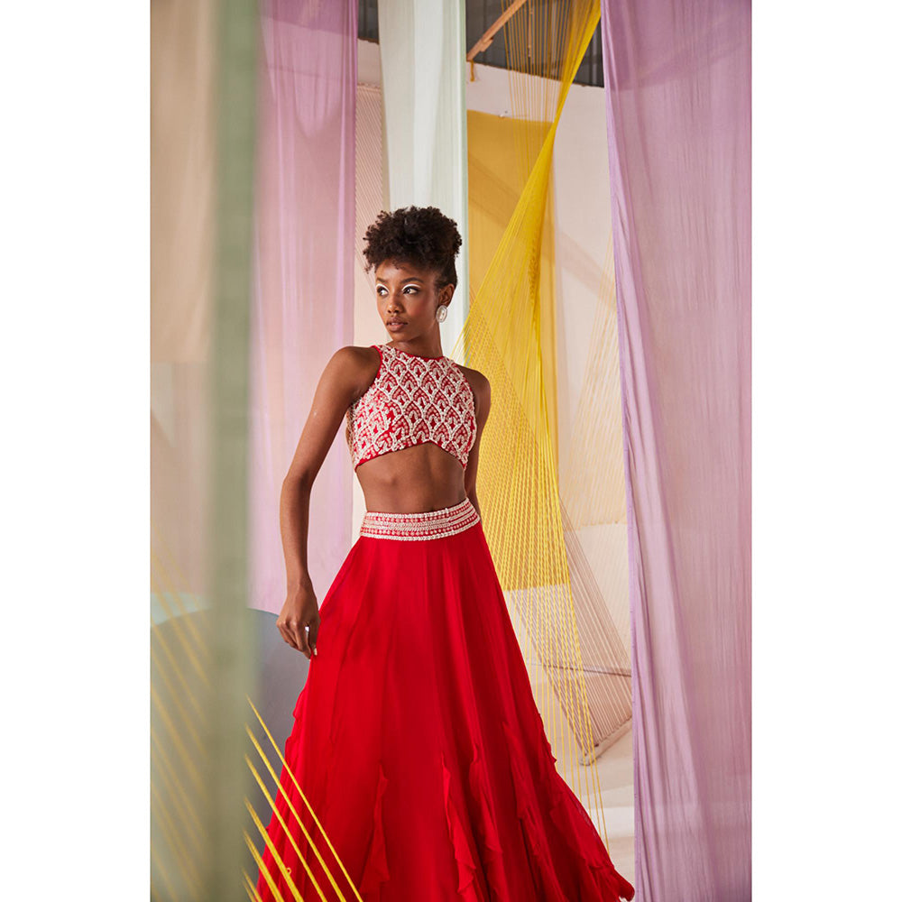 Anu Pellakuru Anaisa Embroidered Lehenga with Blouse (Set of 2)