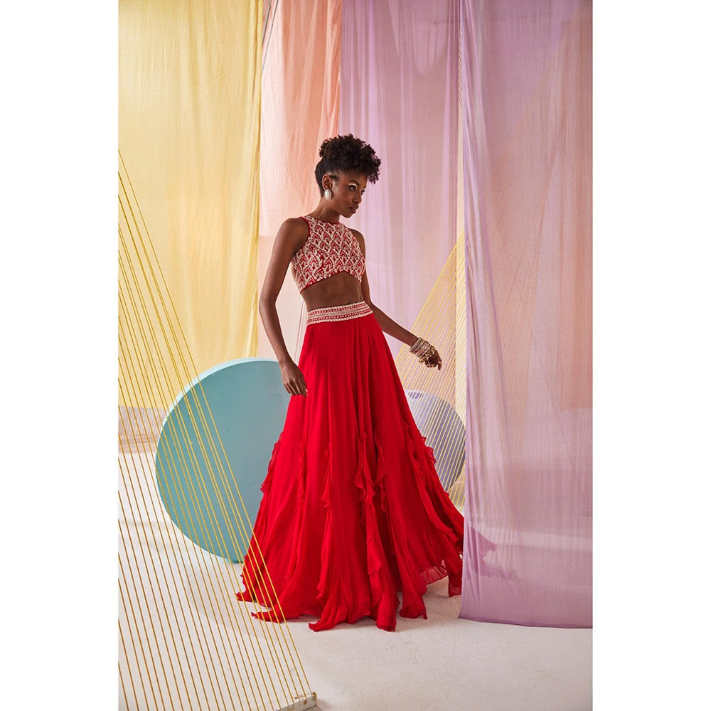 Anu Pellakuru Anaisa Embroidered Lehenga with Blouse (Set of 2)