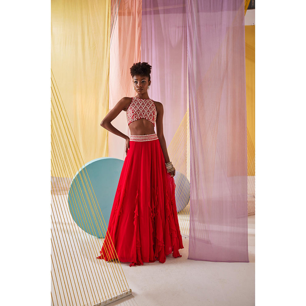 Anu Pellakuru Anaisa Embroidered Lehenga with Blouse (Set of 2)