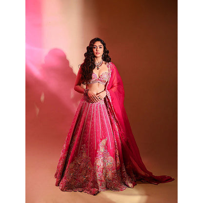Anu Pellakuru Pink Raha Embroidered Lehenga with Blouse and Dupatta (Set of 3)