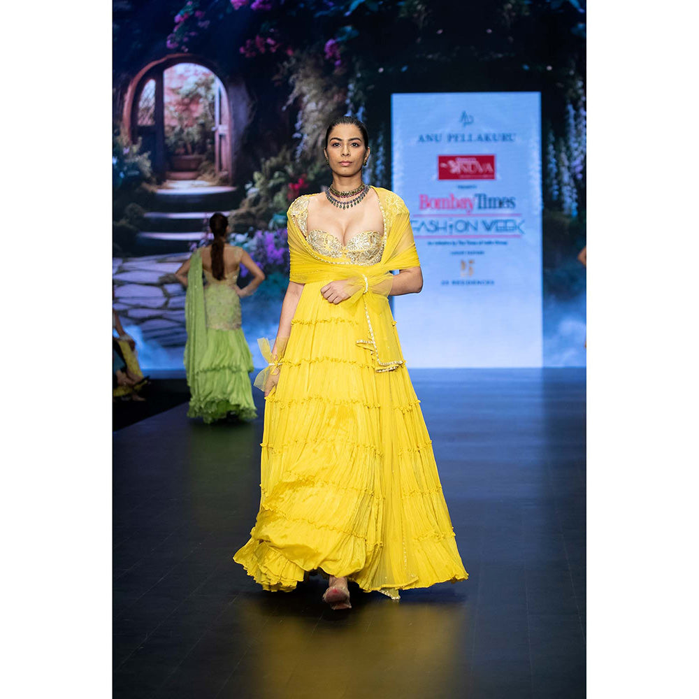 Anu Pellakuru Yellow Gargi Embroidered Anarkali and Dupatta (Set of 2)