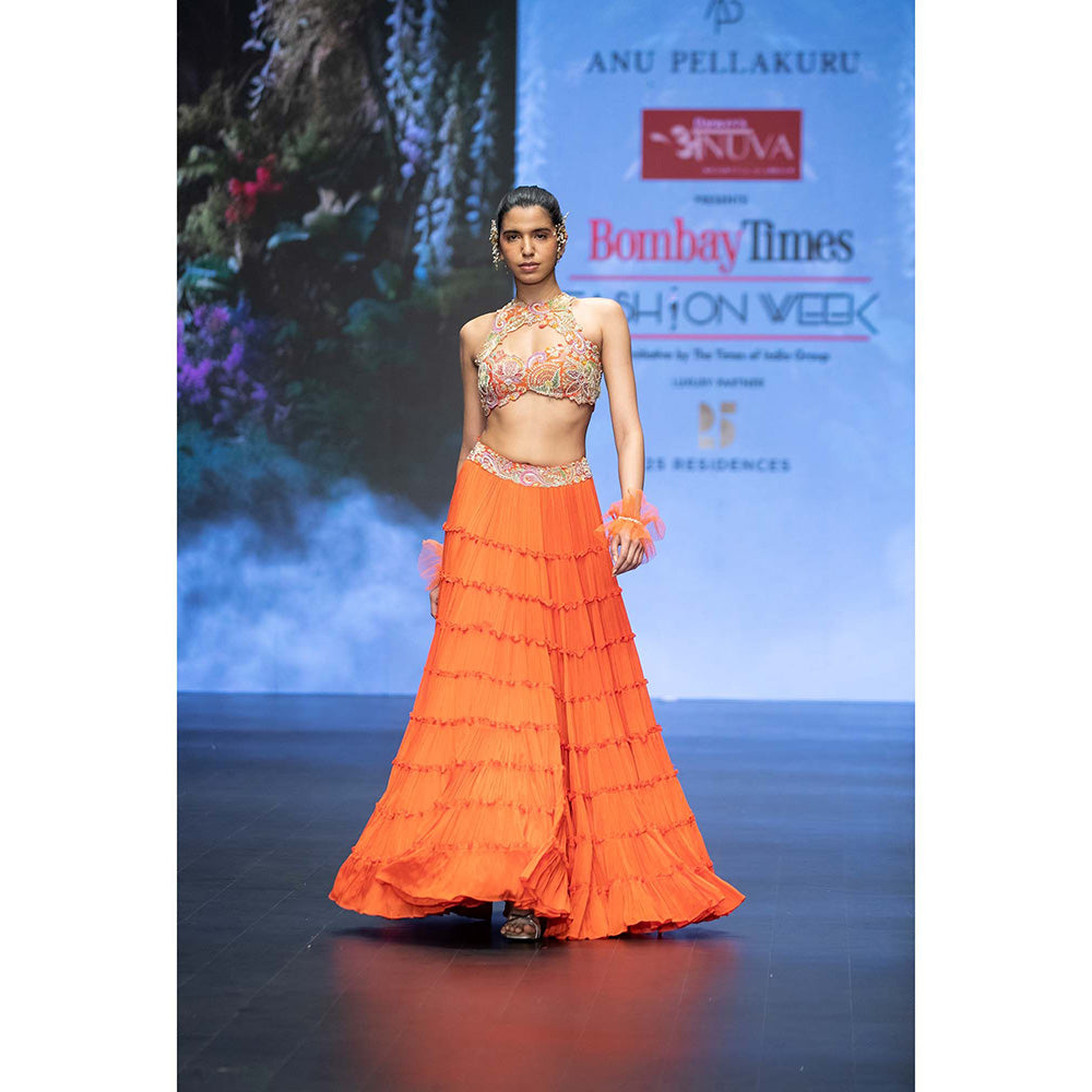 Anu Pellakuru Orange Ramhi Embroidered Lehenga with Blouse (Set of 2)
