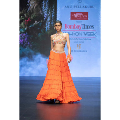 Anu Pellakuru Orange Ramhi Embroidered Lehenga with Blouse (Set of 2)