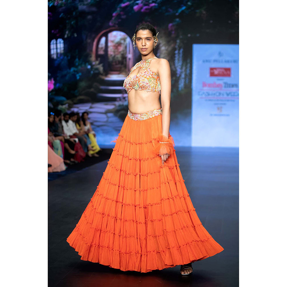 Anu Pellakuru Orange Ramhi Embroidered Lehenga with Blouse (Set of 2)