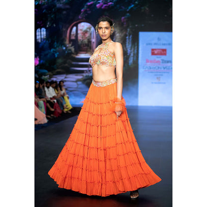 Anu Pellakuru Orange Ramhi Embroidered Lehenga with Blouse (Set of 2)