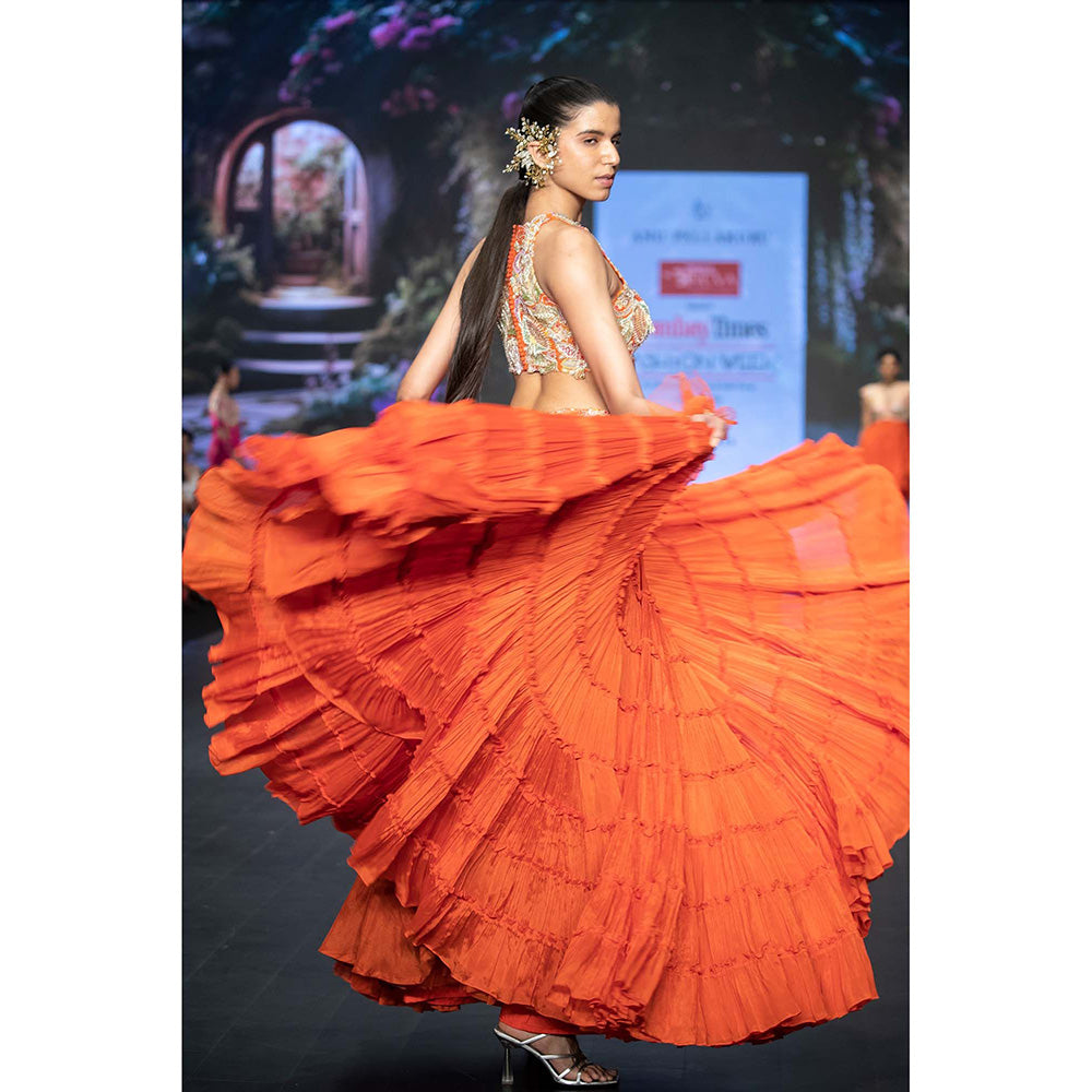 Anu Pellakuru Orange Ramhi Embroidered Lehenga with Blouse (Set of 2)