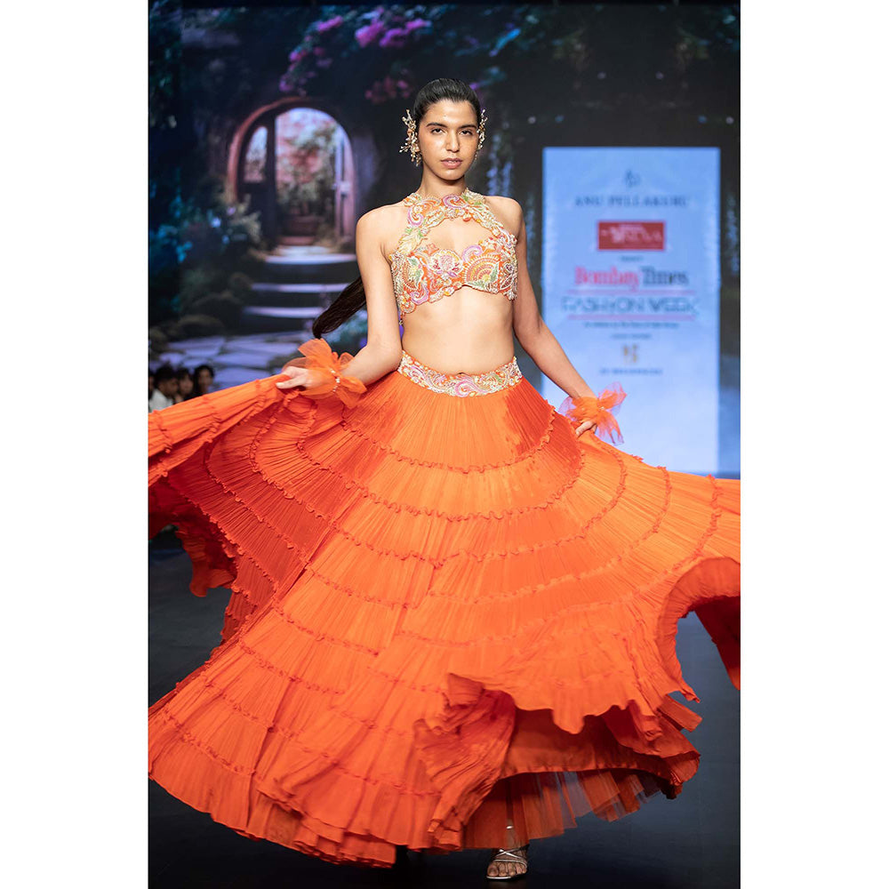 Anu Pellakuru Orange Ramhi Embroidered Lehenga with Blouse (Set of 2)