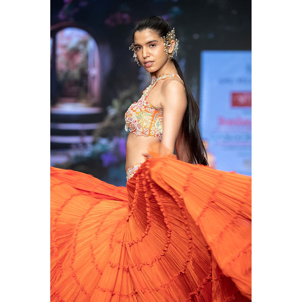 Anu Pellakuru Orange Ramhi Embroidered Lehenga with Blouse (Set of 2)
