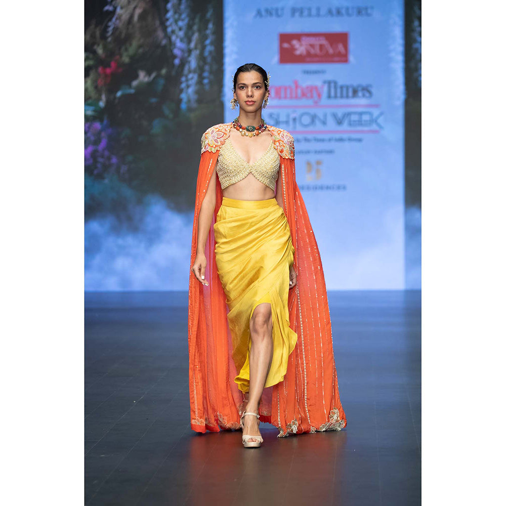 Anu Pellakuru Reva Embroidered Cape and Draped Skirt with Stitched Blouse (Set of 3)