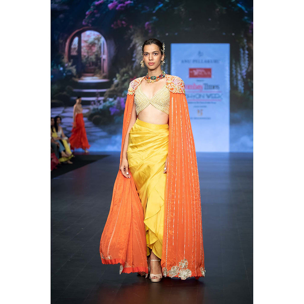 Anu Pellakuru Reva Embroidered Cape and Draped Skirt with Stitched Blouse (Set of 3)