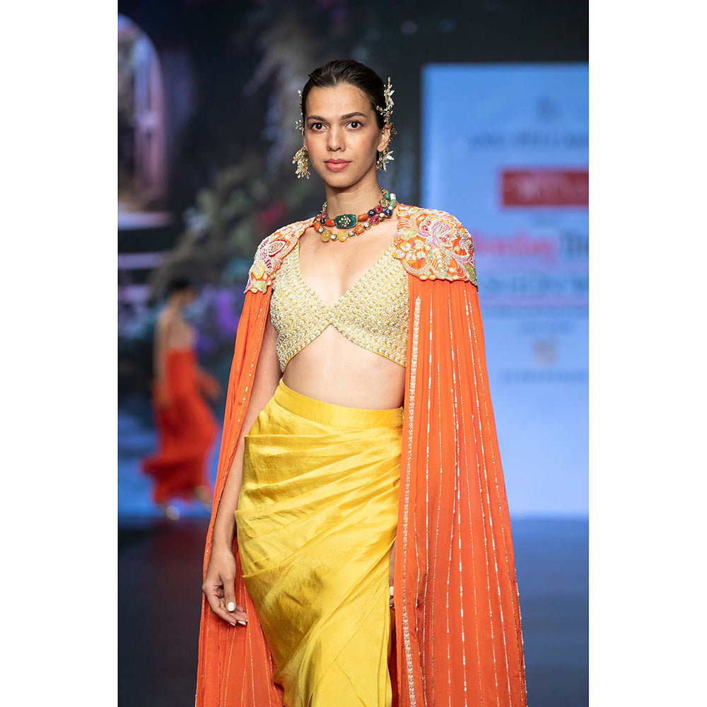 Anu Pellakuru Reva Embroidered Cape and Draped Skirt with Stitched Blouse (Set of 3)