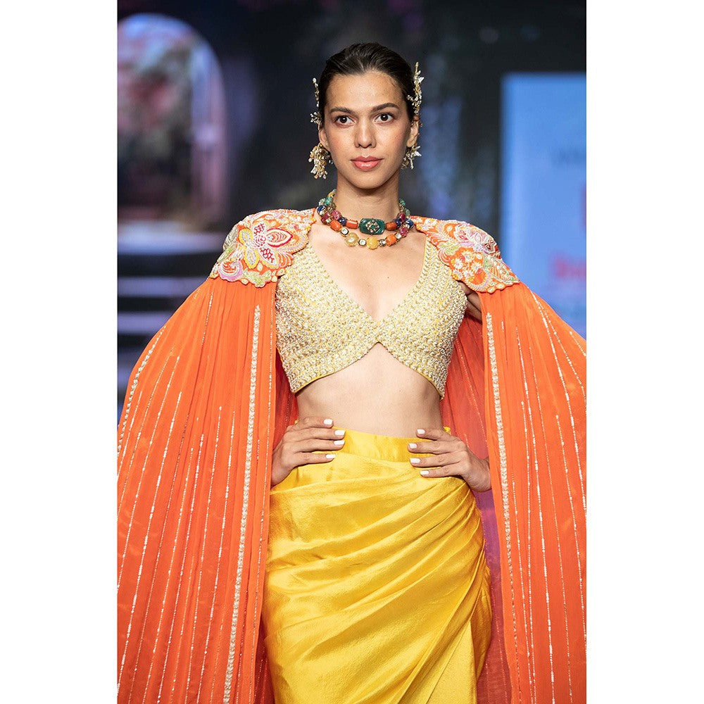 Anu Pellakuru Reva Embroidered Cape and Draped Skirt with Stitched Blouse (Set of 3)