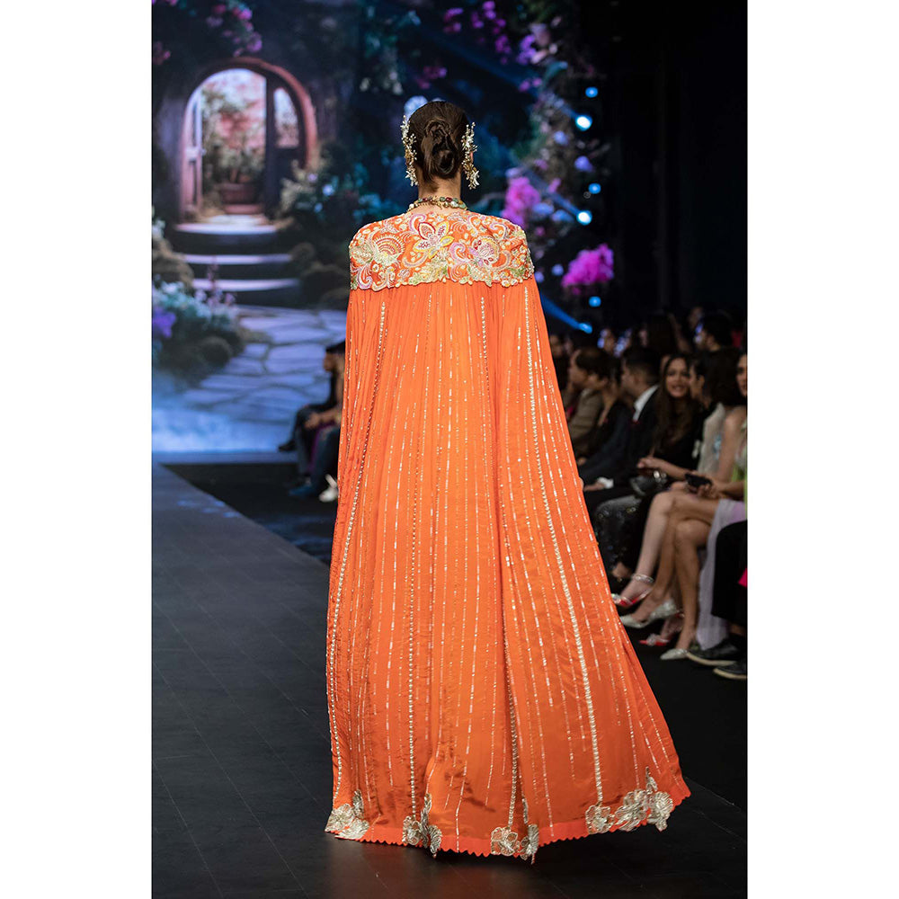 Anu Pellakuru Reva Embroidered Cape and Draped Skirt with Stitched Blouse (Set of 3)