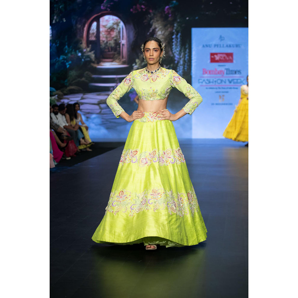Anu Pellakuru Green Rucya Embroidered Lehenga with Blouse (Set of 2)