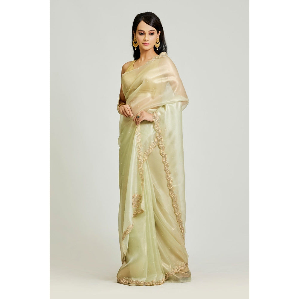 Aparnaa Olive Green Organza Tissue Saree with Unstitched Blouse