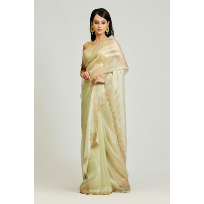 Aparnaa Olive Green Organza Tissue Saree with Unstitched Blouse