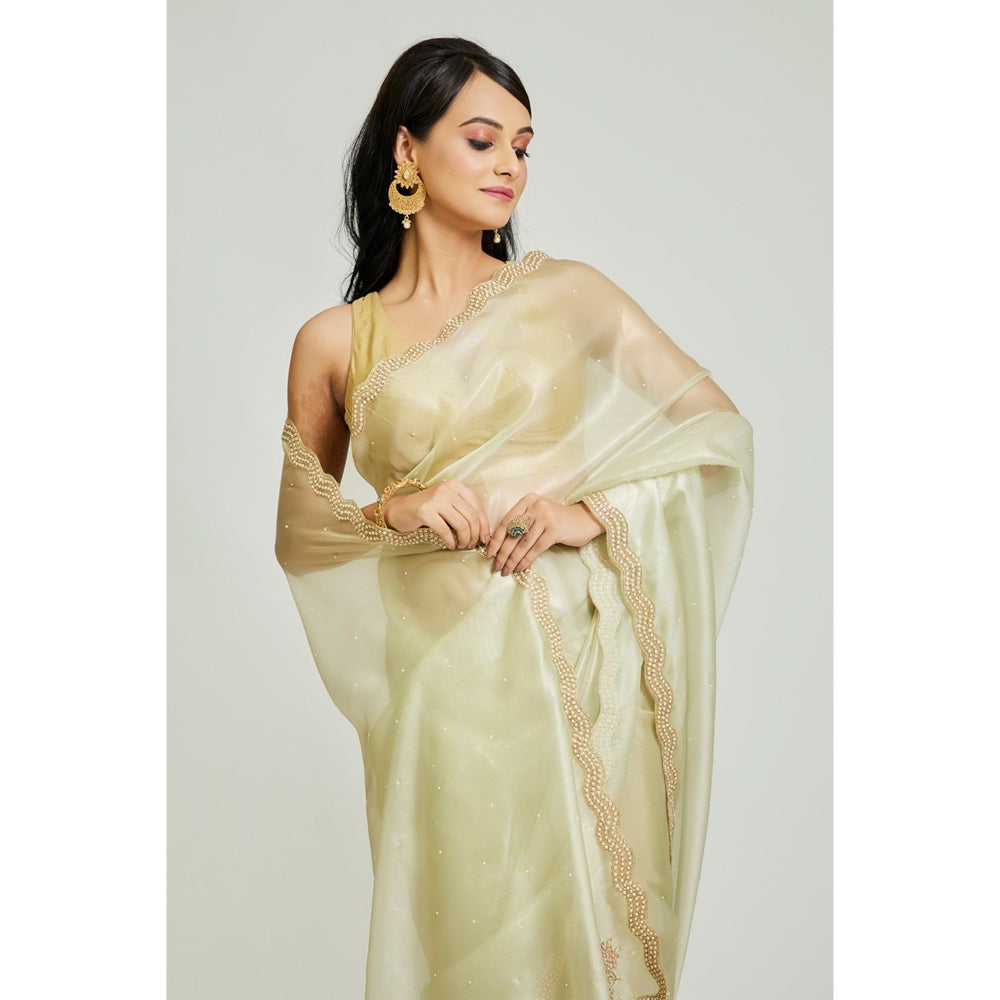 Aparnaa Olive Green Organza Tissue Saree with Unstitched Blouse