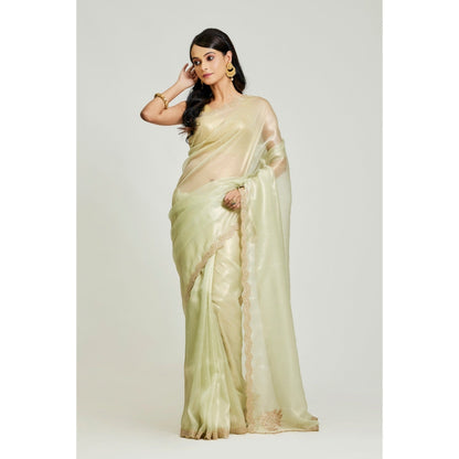Aparnaa Olive Green Organza Tissue Saree with Unstitched Blouse
