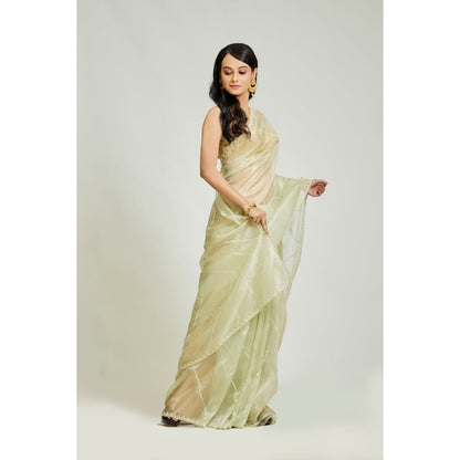 Aparnaa Green Pista Colour Raina Silk with Unstitched Blouse