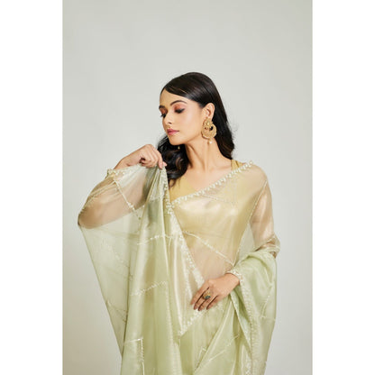 Aparnaa Green Pista Colour Raina Silk with Unstitched Blouse