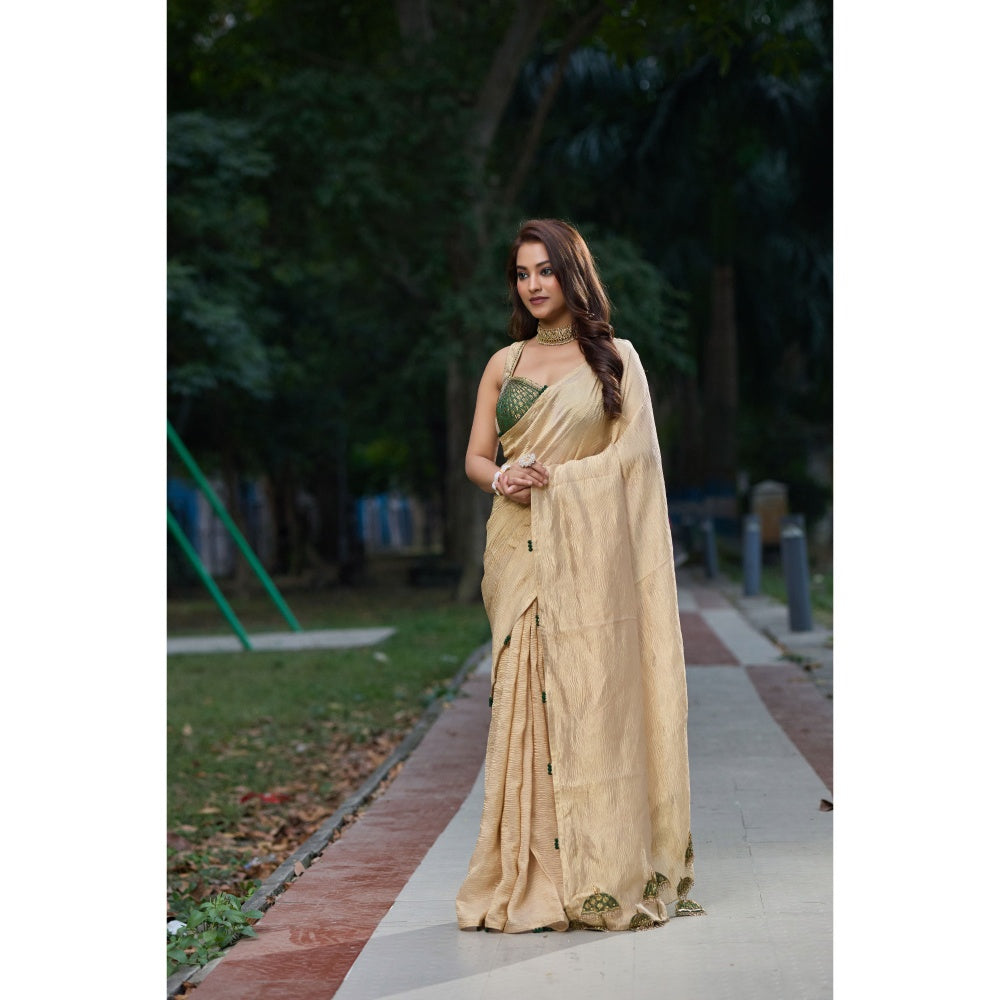 Aparnaa Tissue Handwork Embroidered Umbrella Work Saree with Unstitched Blouse