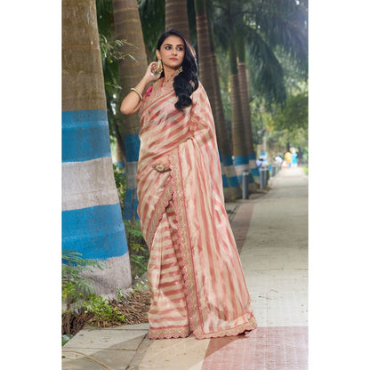 Aparnaa Hand Embroidered Stripe Pattern Tissue Saree with Unstitched Blouse