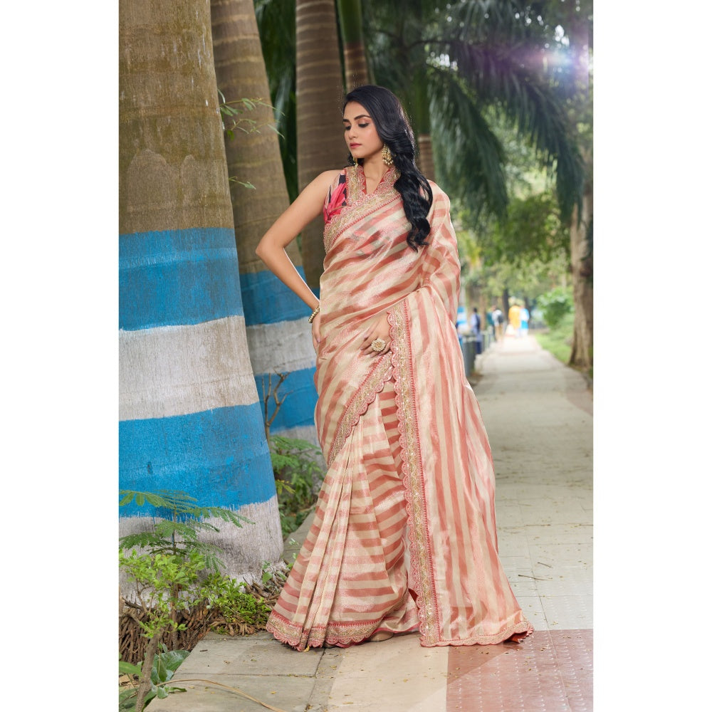Aparnaa Hand Embroidered Stripe Pattern Tissue Saree with Unstitched Blouse