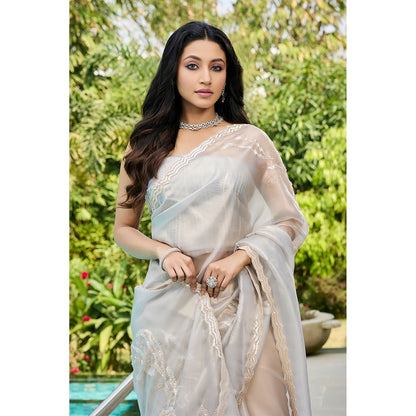 Aparnaa Grey Tissue Hand Embroidered Sequins Zari Border Saree with Unstitched Blouse