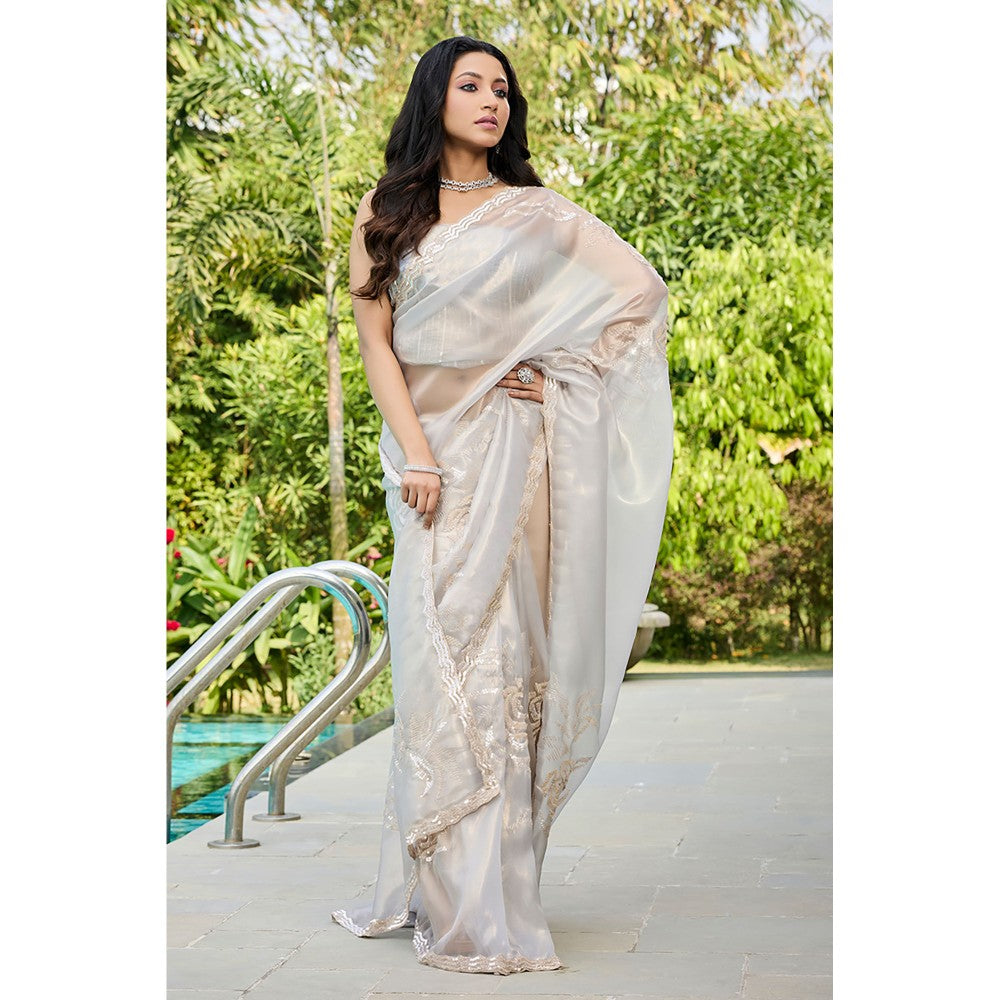 Aparnaa Grey Tissue Hand Embroidered Sequins Zari Border Saree with Unstitched Blouse
